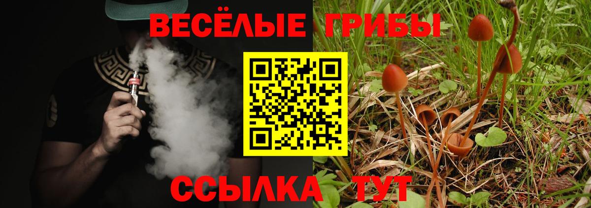 Вышний Волочёк  цены   Вход с VPN  Псилоцибиновые грибы Psilocybe  Псилоцибиновые грибы прущие грибы 
