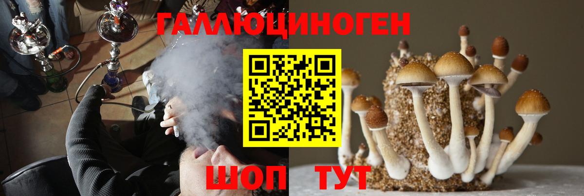 Галлюциногенные грибы Psilocybine cubensis Вышний Волочёк